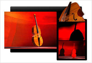 3D violoncello